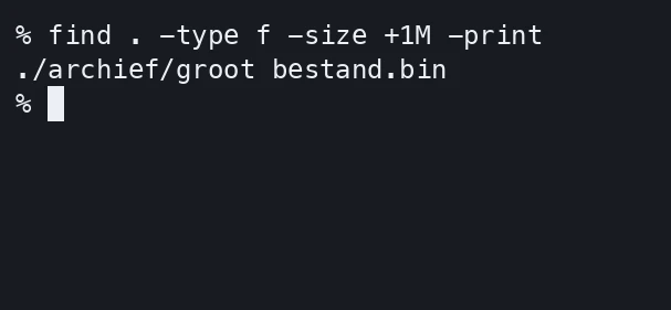 find toont archief/groot bestand.bin als bestand dat groter is dan één MiB.