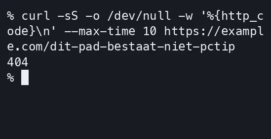 curl toont 404 voor het bewust niet-bestaande pad op example.com.