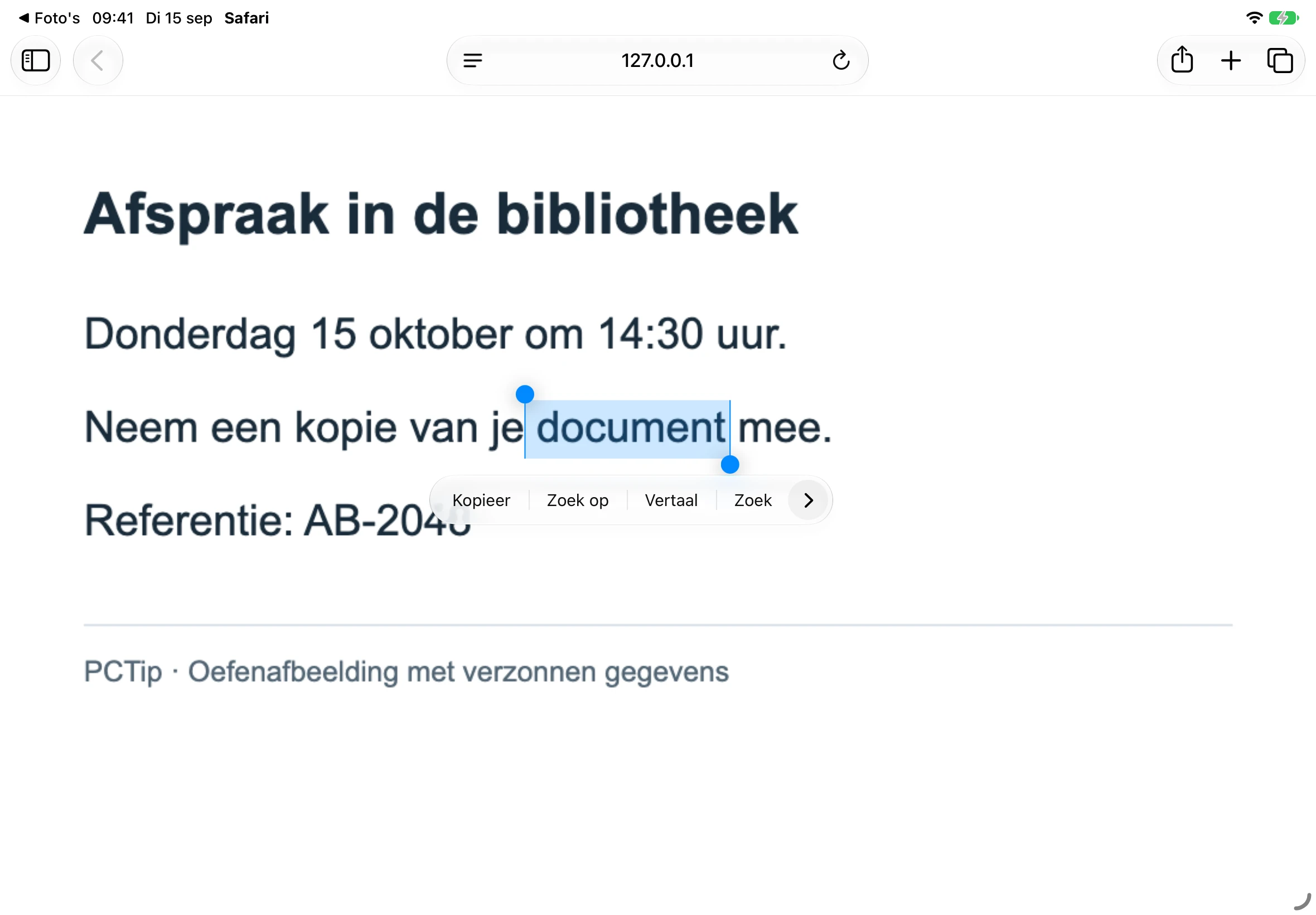 Safari op een iPad met het woord document geselecteerd in een afbeelding, blauwe selectiegrepen en het menu Kopieer.